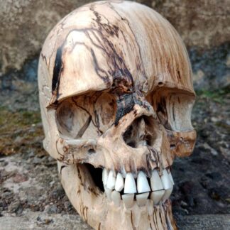 Hand-made skull sculpture made of tamarind wood